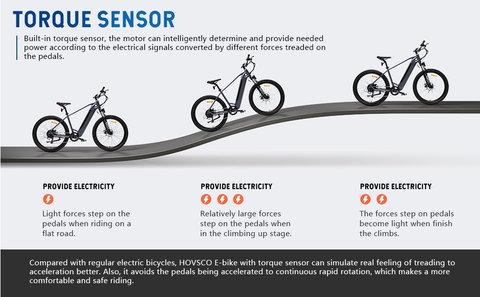 Torque Sensor