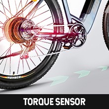 Torque Sensor