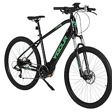 vitesse vigour electric bike 