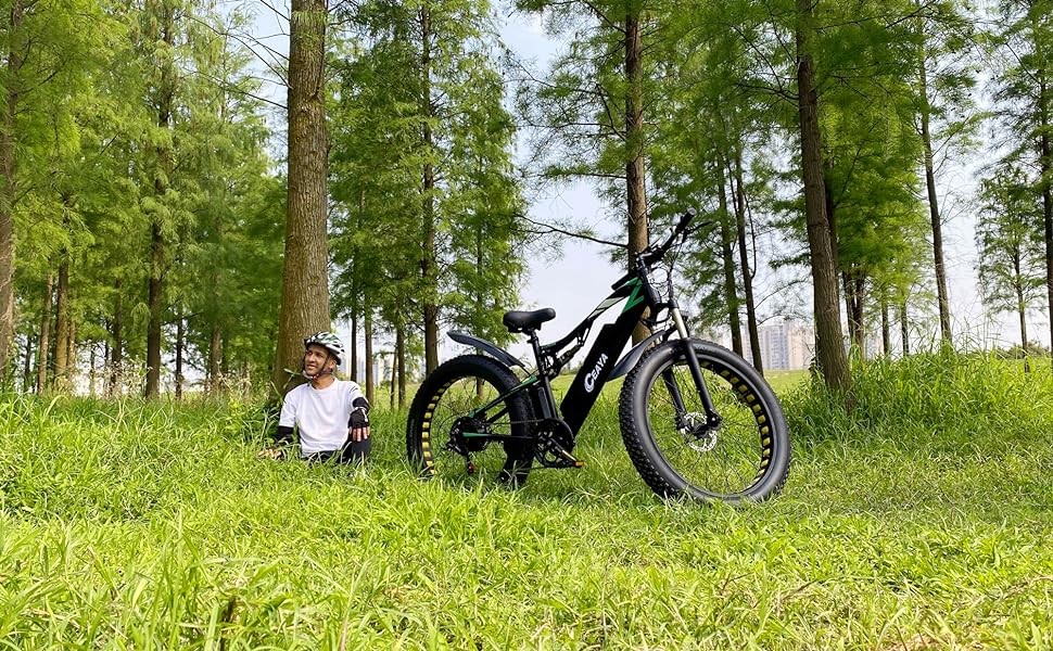 CEAYA Ebike wl01