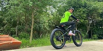 ceaya electric bike wl01