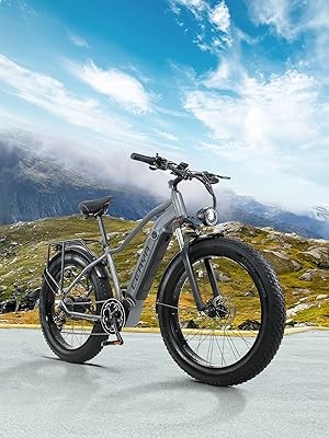 CEAYA Ebike RX50 26in