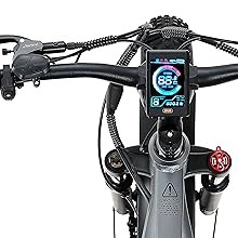 RX50 Ebike With LCD Dispaly CEAYA